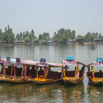 Untitled design – 2026-03-03T113733.797